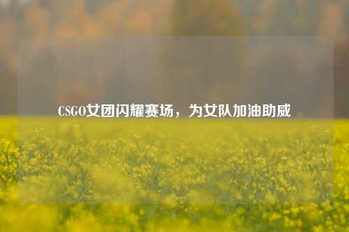 CSGO女团闪耀赛场，为女队加油助威