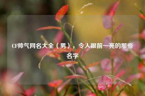 CF帅气网名大全(男),令人眼前一亮的那些名字
