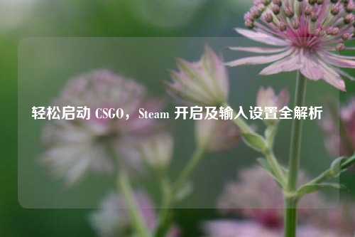 轻松启动 CSGO，Steam 开启及输入设置全解析