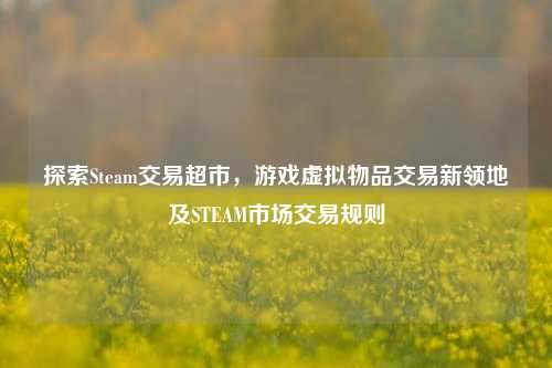 探索Steam交易超市,游戏虚拟物品交易新领地及STEAM市场交易规则