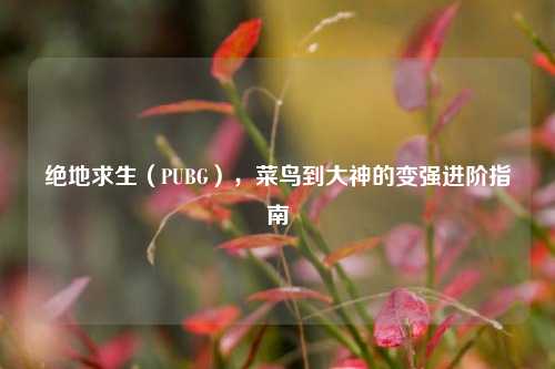 绝地求生（PUBG），菜鸟到大神的变强进阶指南