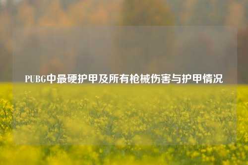 PUBG中最硬护甲及所有枪械伤害与护甲情况