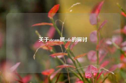 关于steam抓ssfn的探讨