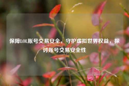 保障LOL账号交易安全，守护虚拟世界权益，探讨账号交易安全性
