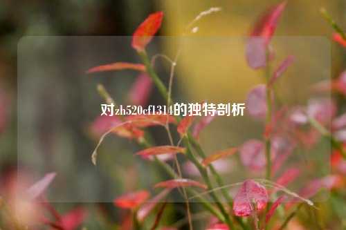 对zh520cf1314的独特剖析