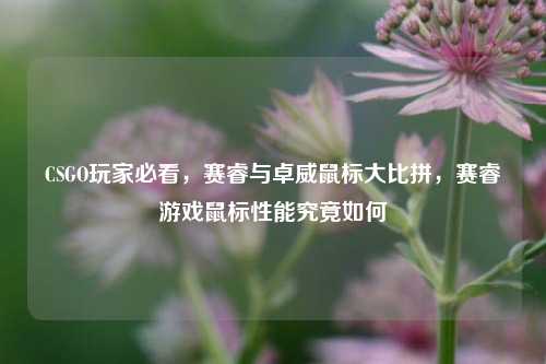CSGO玩家必看，赛睿与卓威鼠标大比拼，赛睿游戏鼠标性能究竟如何