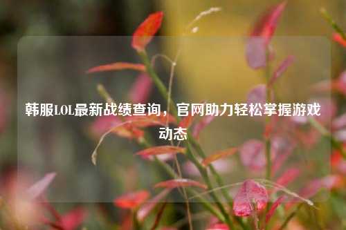 韩服LOL最新战绩查询，官网助力轻松掌握游戏动态