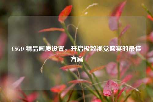 CSGO 精品画质设置，开启极致视觉盛宴的最佳方案
