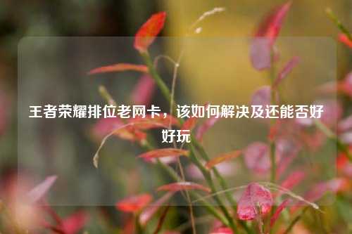 王者荣耀排位老网卡，该如何解决及还能否好好玩