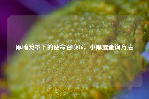黑暗笼罩下的使命召唤16,小黑屋查询方法
