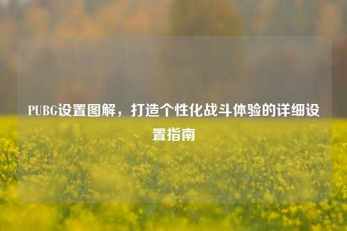 PUBG设置图解，打造个性化战斗体验的详细设置指南