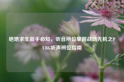 绝地求生新手必知，听音辨位掌握战场先机之PUBG听声辨位指南