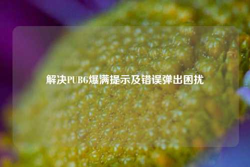 解决PUBG爆满提示及错误弹出困扰