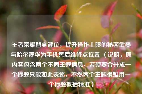 王者荣耀替身键位，提升操作上限的秘密武器与哈尔滨华为手机售后维修点位置 （说明，原内容包含两个不同主题信息，若硬要合并成一个标题只能如此表述，不然两个主题很难用一个标题概括精准）