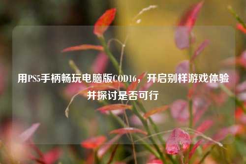 用PS5手柄畅玩电脑版COD16,开启别样游戏体验并探讨是否可行