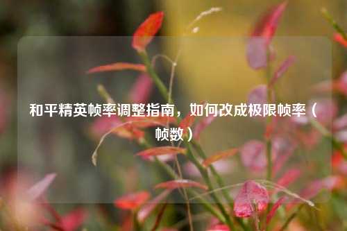 和平精英帧率调整指南，如何改成极限帧率（帧数）