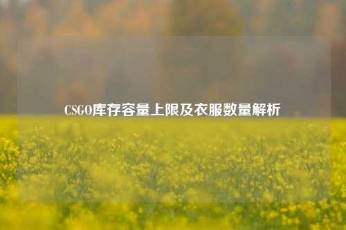 CSGO库存容量上限及衣服数量解析