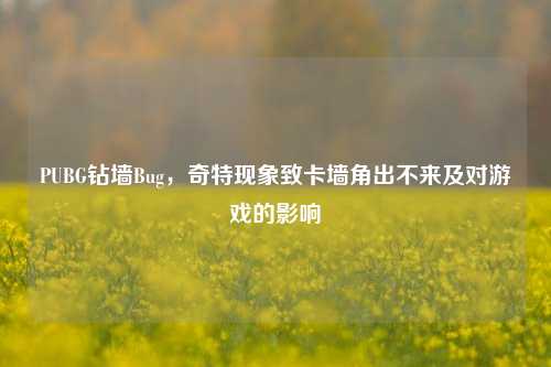 PUBG钻墙Bug,奇特现象致卡墙角出不来及对游戏的影响