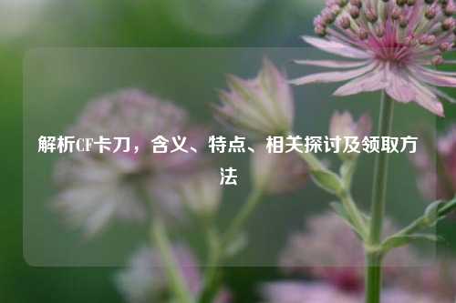 解析CF卡刀，含义、特点、相关探讨及领取方法