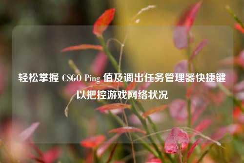 轻松掌握 CSGO Ping 值及调出任务管理器快捷键以把控游戏网络状况