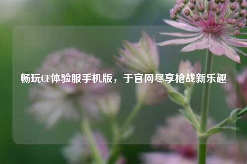 畅玩CF体验服手机版,于官网尽享枪战新乐趣
