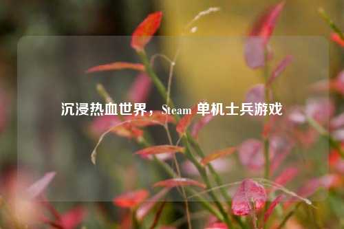 沉浸热血世界,Steam 单机士兵游戏
