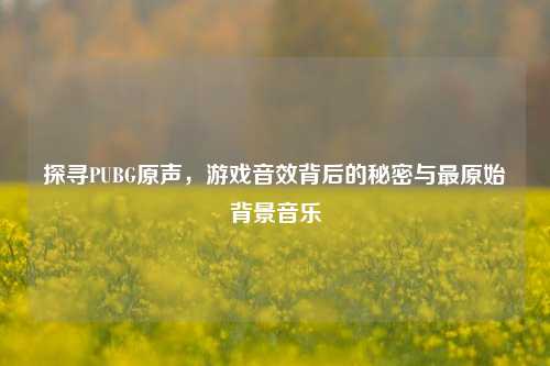 探寻PUBG原声，游戏音效背后的秘密与最原始背景音乐