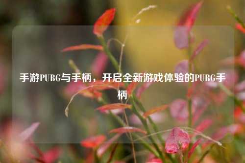 手游PUBG与手柄,开启全新游戏体验的PUBG手柄