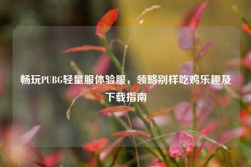 畅玩PUBG轻量服体验服，领略别样吃鸡乐趣及下载指南