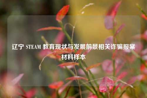 辽宁 STEAM 教育现状与发展前景相关诈骗报案材料样本
