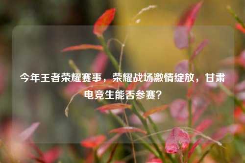 今年王者荣耀赛事，荣耀战场激情绽放，甘肃电竞生能否参赛？