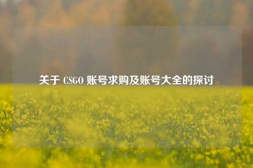 关于 CSGO 账号求购及账号大全的探讨