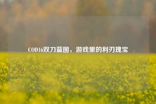 COD16双刀蓝图，游戏里的利刃瑰宝