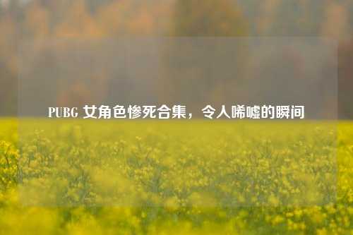 PUBG 女角色惨死合集，令人唏嘘的瞬间