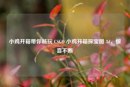 小鸡开箱带你畅玩 CSGO 小鸡开箱探宝图 3d，惊喜不断