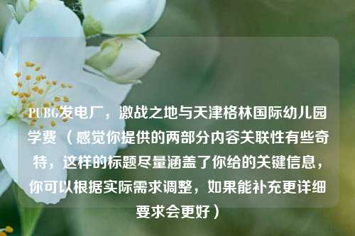 PUBG发电厂，激战之地与天津格林国际幼儿园学费 （感觉你提供的两部分内容关联性有些奇特，这样的标题尽量涵盖了你给的关键信息，你可以根据实际需求调整，如果能补充更详细要求会更好）