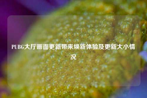 PUBG大厅画面更新带来焕新体验及更新大小情况