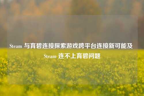 Steam 与育碧连接探索游戏跨平台连接新可能及 Steam 连不上育碧问题