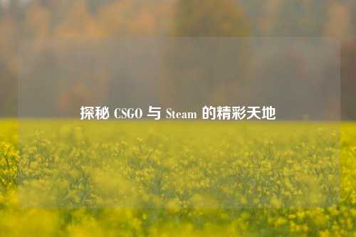 探秘 CSGO 与 Steam 的精彩天地