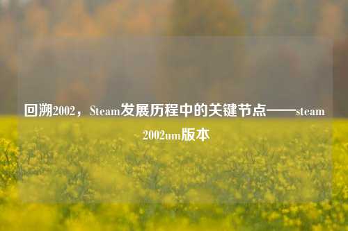 回溯2002，Steam发展历程中的关键节点——steam 2002um版本