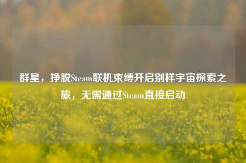 群星，挣脱Steam联机束缚开启别样宇宙探索之旅，无需通过Steam直接启动