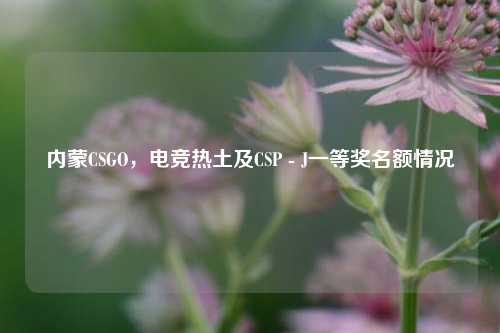 内蒙CSGO，电竞热土及CSP - J一等奖名额情况