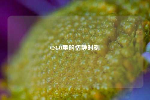 CSGO里的恬静时刻