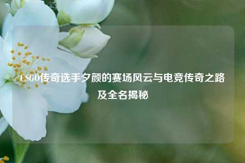 CSGO传奇选手夕颜的赛场风云与电竞传奇之路及全名揭秘
