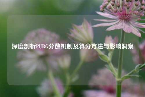 深度剖析PUBG分数机制及算分方法与影响洞察