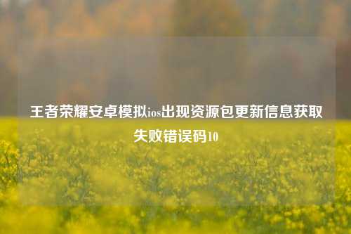 王者荣耀安卓模拟ios出现资源包更新信息获取失败错误码10