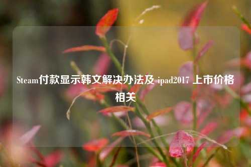 Steam付款显示韩文解决办法及 ipad2017 上市价格相关