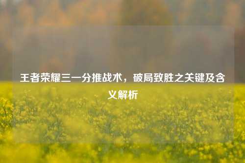 王者荣耀三一分推战术,破局致胜之关键及含义解析