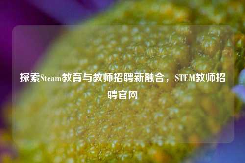 探索Steam教育与教师招聘新融合,STEM教师招聘官网