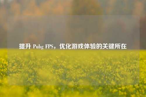 提升 Pubg FPS，优化游戏体验的关键所在